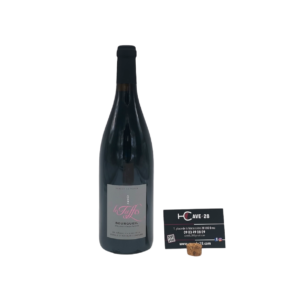 Bourgueil 2020 - Les Tuffes - Domaine Cognard