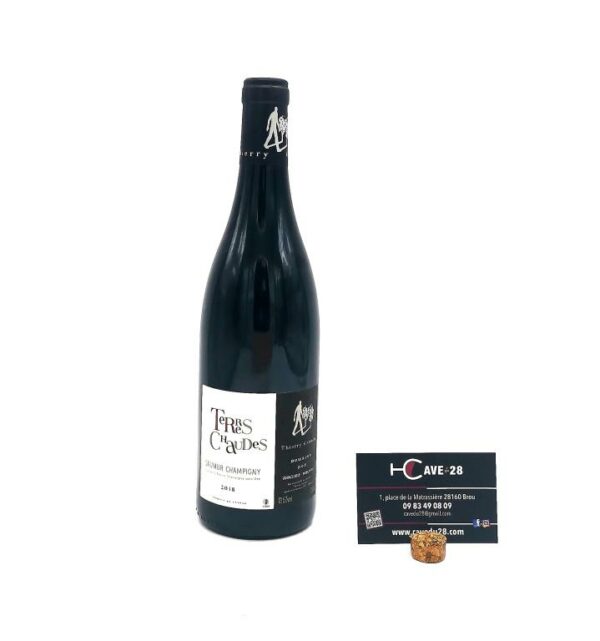 Saumur Champigny - Rouge Terres Chaudes 2018 - Domaine des roches Neuves
