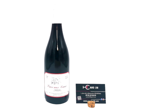 IGP Val de Loire 2016 - L'Audace de Baptiste - Les caves aux Caux