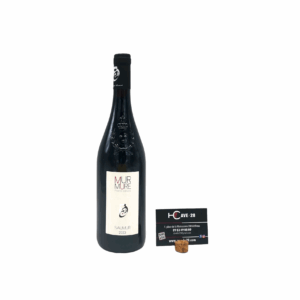 Saumur 2023 - Rouge Murmure - Domaine des Guyons