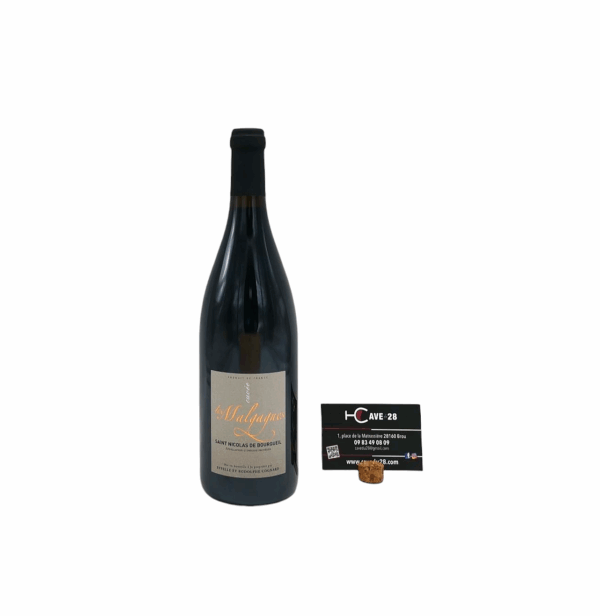Saint nicolas de Bourgueil 2019 - Les Malgagnes - Domaine Cognard