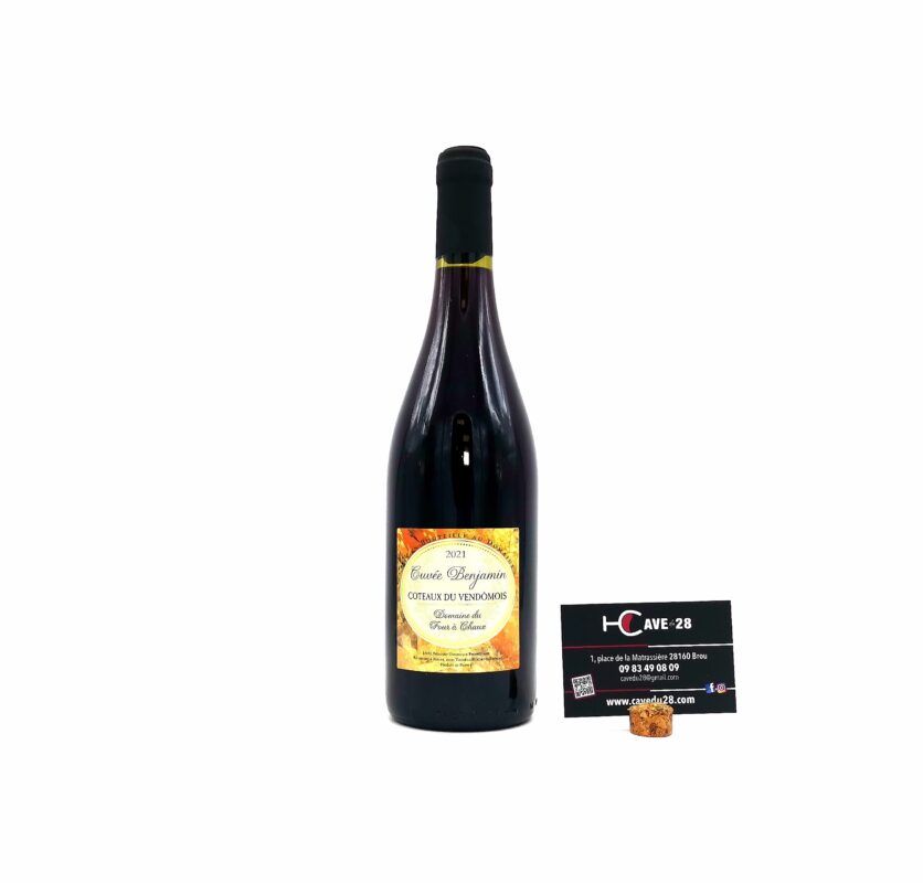 Coteaux du Vendômois 2021 Cuvée Benjamin Domaine du four à Chaux