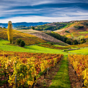 Beaujolais