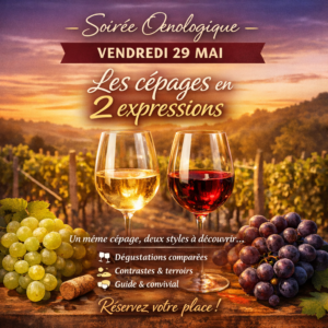 Soirée Œnologique 29/05 : Les cépages en 2 expressions