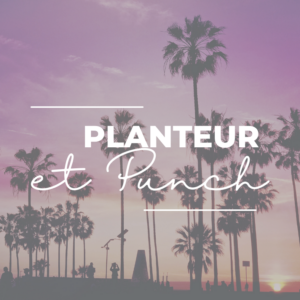 Planteur et Punch