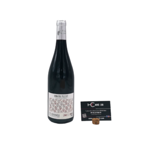 Côte Roannaise 2023 - rouge Arris - Domaine Pluchot